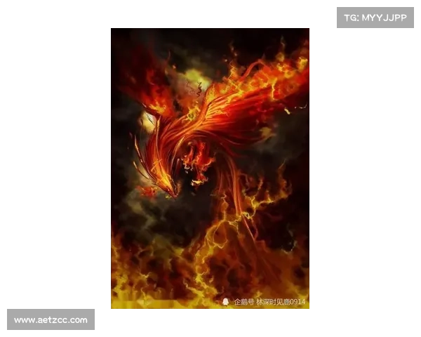 轻松掌握进入朱雀天境的详细步骤解析与实用入门指南